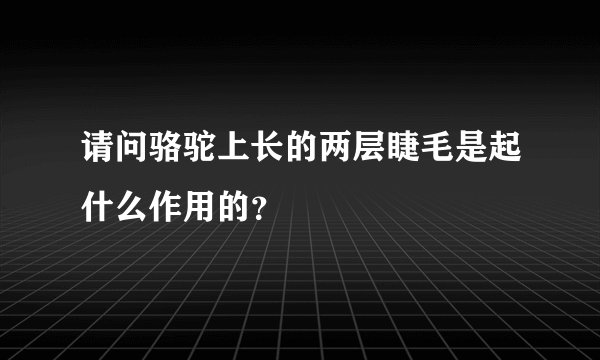请问骆驼上长的两层睫毛是起什么作用的？
