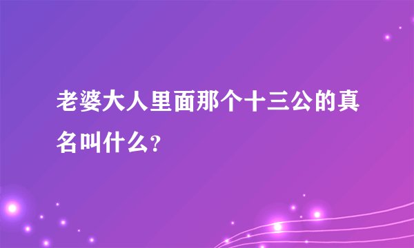 老婆大人里面那个十三公的真名叫什么？