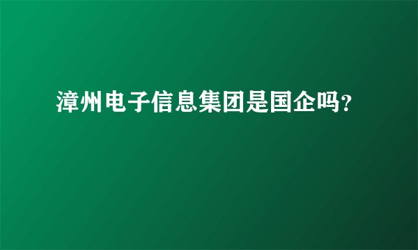 漳州电子信息集团是国企吗？