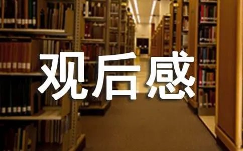 《古今大战秦佣情》观后感