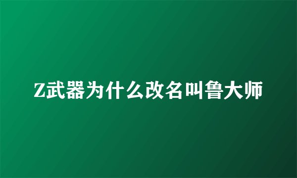 Z武器为什么改名叫鲁大师