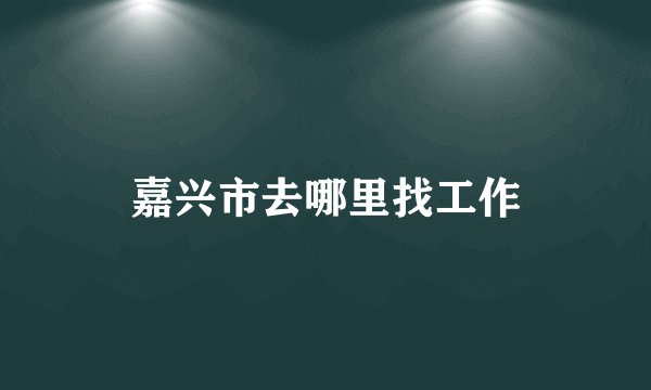 嘉兴市去哪里找工作