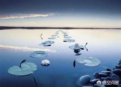 “枕上诗书闲处好，门前风景雨来佳”，你喜欢这两句诗吗？为什么？