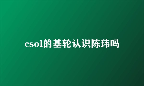csol的基轮认识陈玮吗