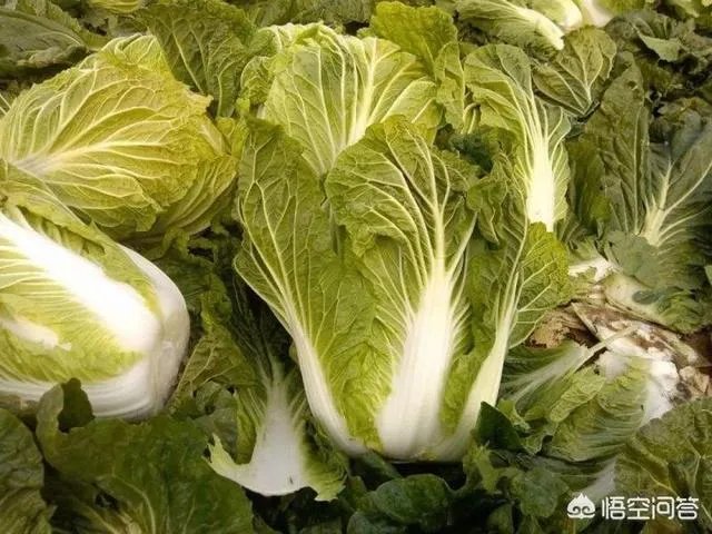 如何识别出甲醛白菜?