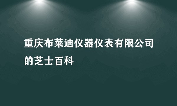 重庆布莱迪仪器仪表有限公司的芝士百科