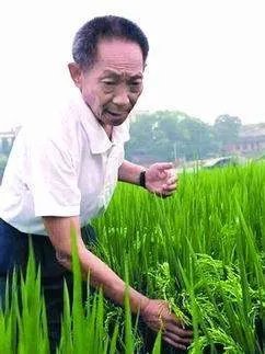 袁隆平有儿子吗?