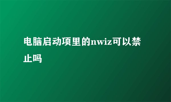 电脑启动项里的nwiz可以禁止吗