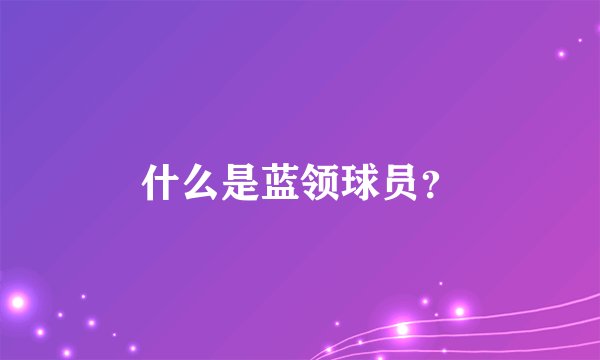 什么是蓝领球员？