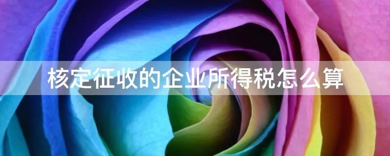 核定征收的企业所得税怎么算
