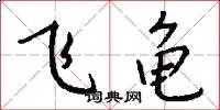 飞龟