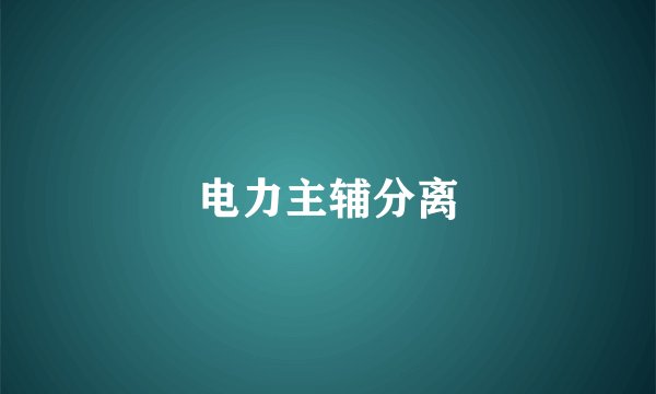 电力主辅分离