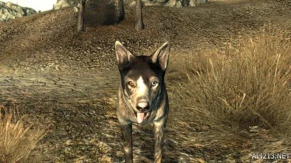 E3 2015:必然质的飞跃!《辐射4(Fallout 4)》E3版本与《辐射3》截图对比