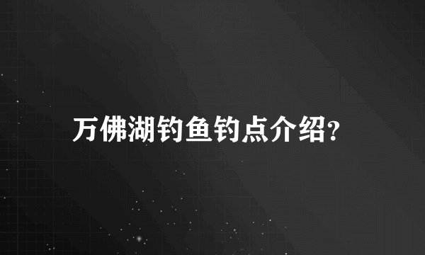 万佛湖钓鱼钓点介绍？