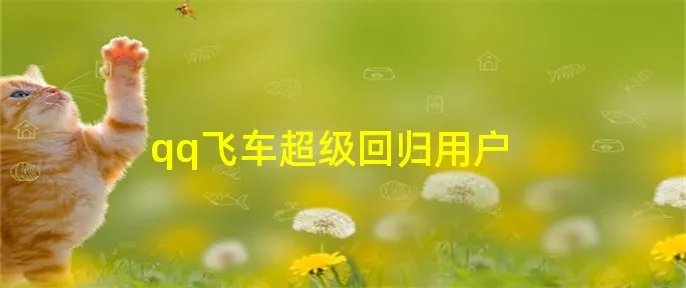 qq飞车超级回归用户
