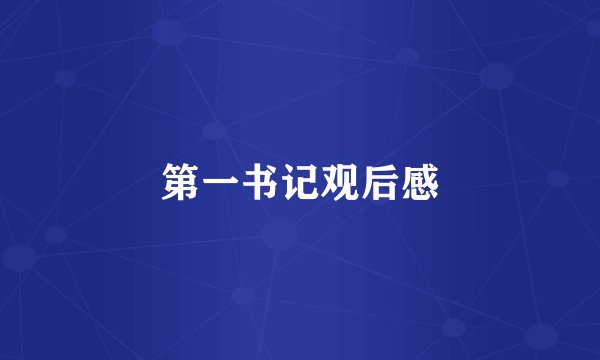 第一书记观后感