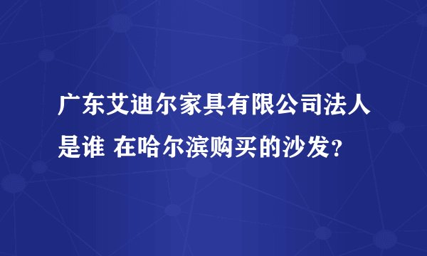 广东艾迪尔家具有限公司法人是谁 在哈尔滨购买的沙发?