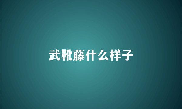 武靴藤什么样子