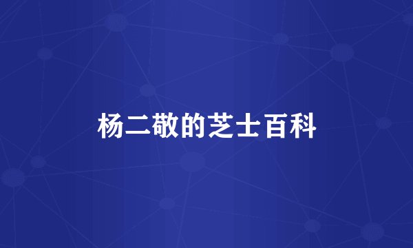 杨二敬的芝士百科