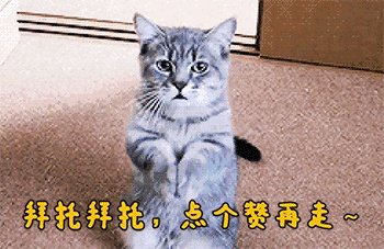 为什么看完《我的体育老师》大结局,内心有一种莫名的失落?