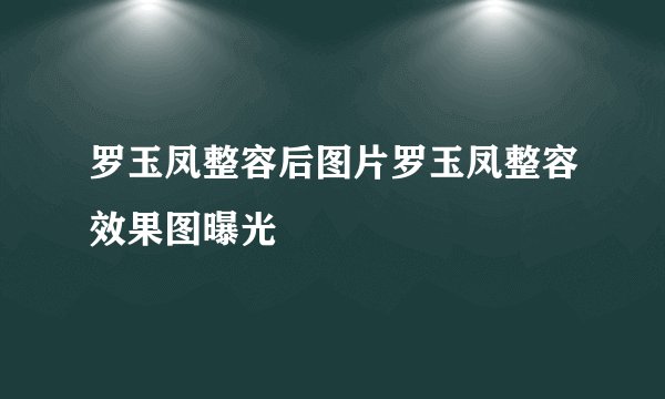 罗玉凤整容后图片罗玉凤整容效果图曝光