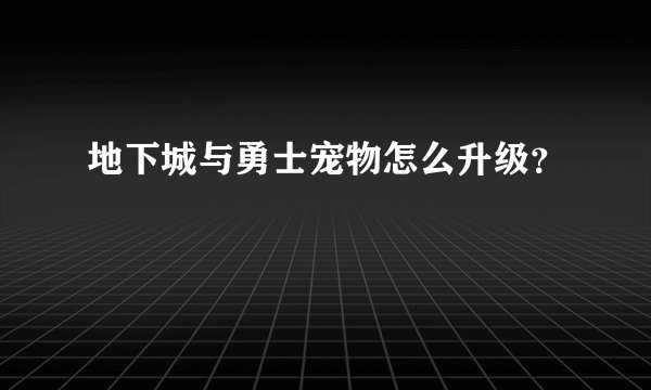 地下城与勇士宠物怎么升级？