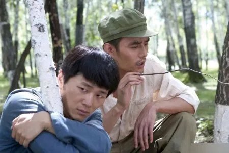 上山下乡的电视剧有哪些?
