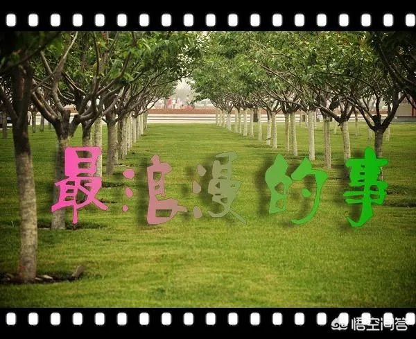 你做过最浪漫的事我该怎么回答