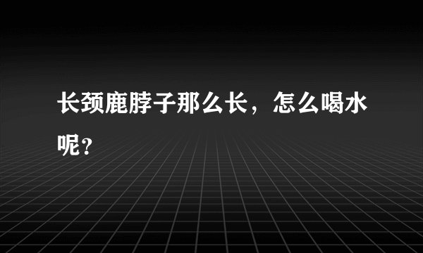 长颈鹿脖子那么长，怎么喝水呢？