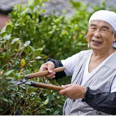 男人掉头发是什么原因引起的