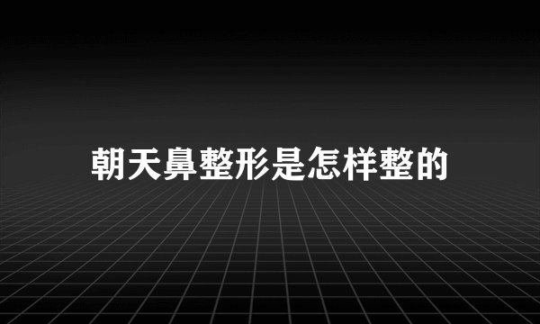 朝天鼻整形是怎样整的