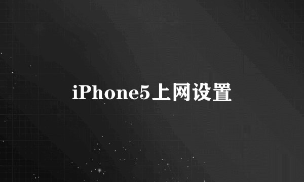 iPhone5上网设置