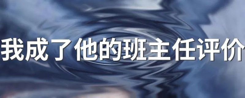 我成了他的班主任评价 这个评价很是中肯