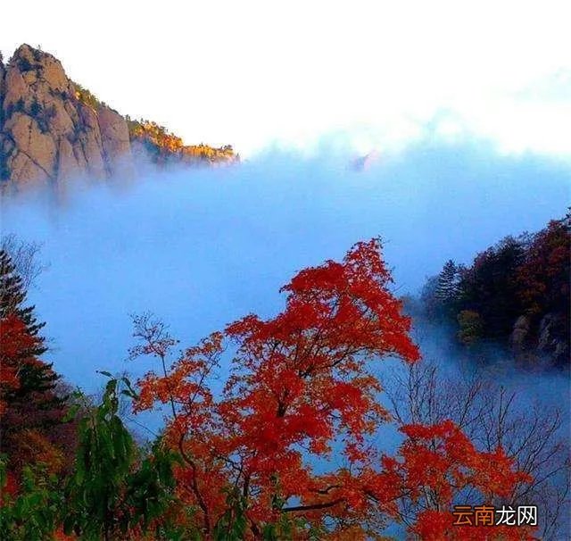 雾灵山在哪