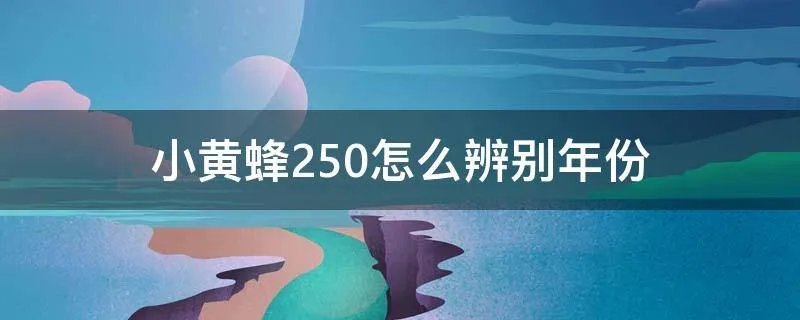 小黄蜂250怎么辨别年份