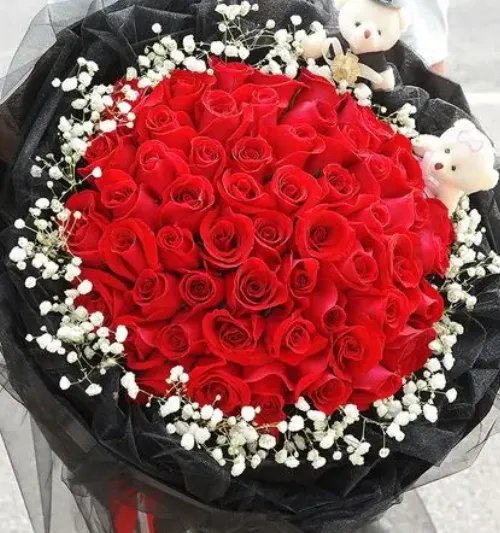 99朵玫瑰花有多大 99朵玫瑰花代表什么意思