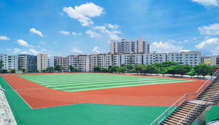 中长跑的训练方法 中长跑的训练方法教案