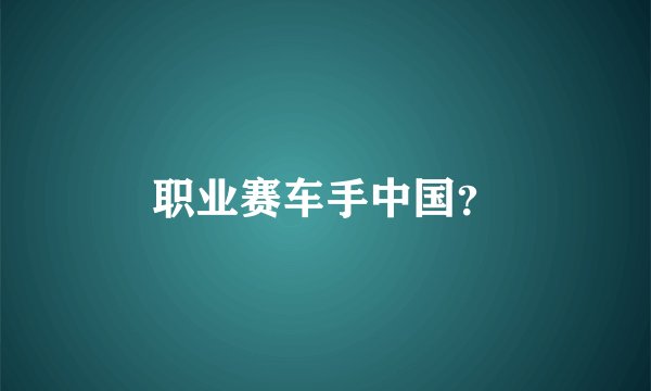 职业赛车手中国？