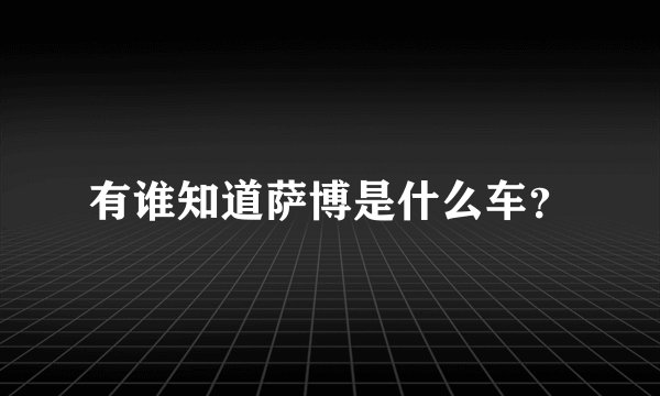 有谁知道萨博是什么车？
