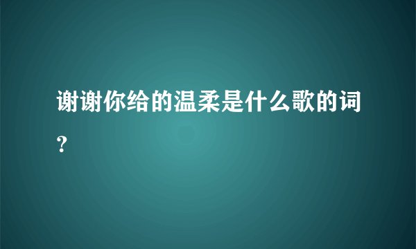 谢谢你给的温柔是什么歌的词？