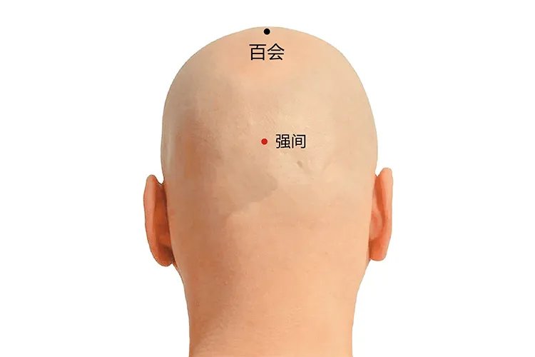 长寿点的准确位置