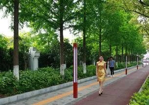 歌唱家乌兰图雅,都唱过哪些著名的歌曲?