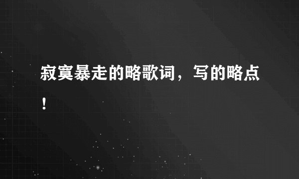 寂寞暴走的略歌词，写的略点！