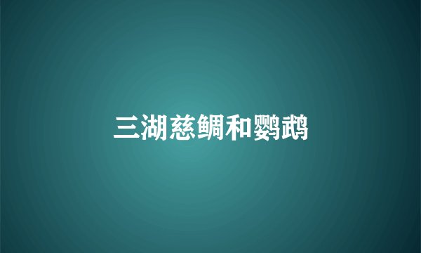 三湖慈鲷和鹦鹉