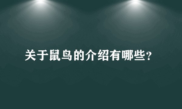 关于鼠鸟的介绍有哪些？