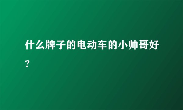 什么牌子的电动车的小帅哥好？