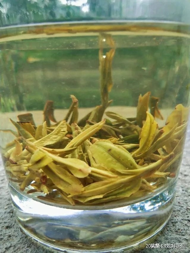 茶叶店熬一熬真的能好了吗?未来发展如何?