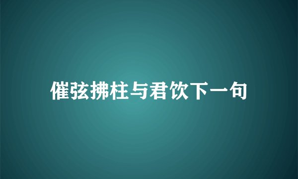 催弦拂柱与君饮下一句
