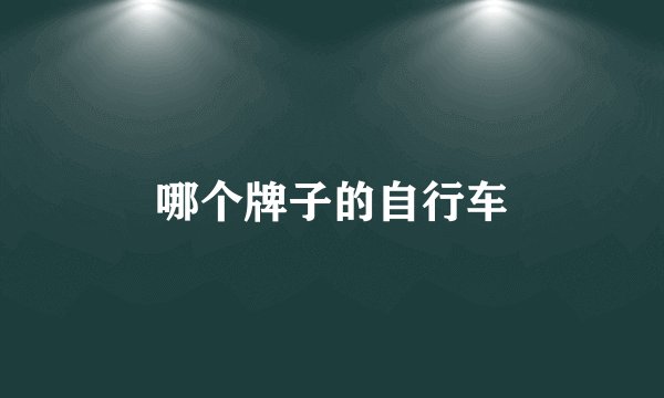 哪个牌子的自行车