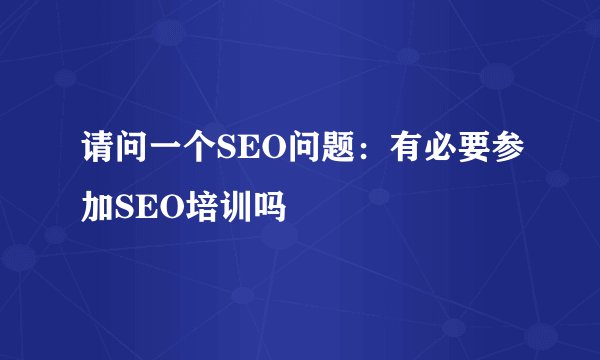 请问一个SEO问题：有必要参加SEO培训吗
